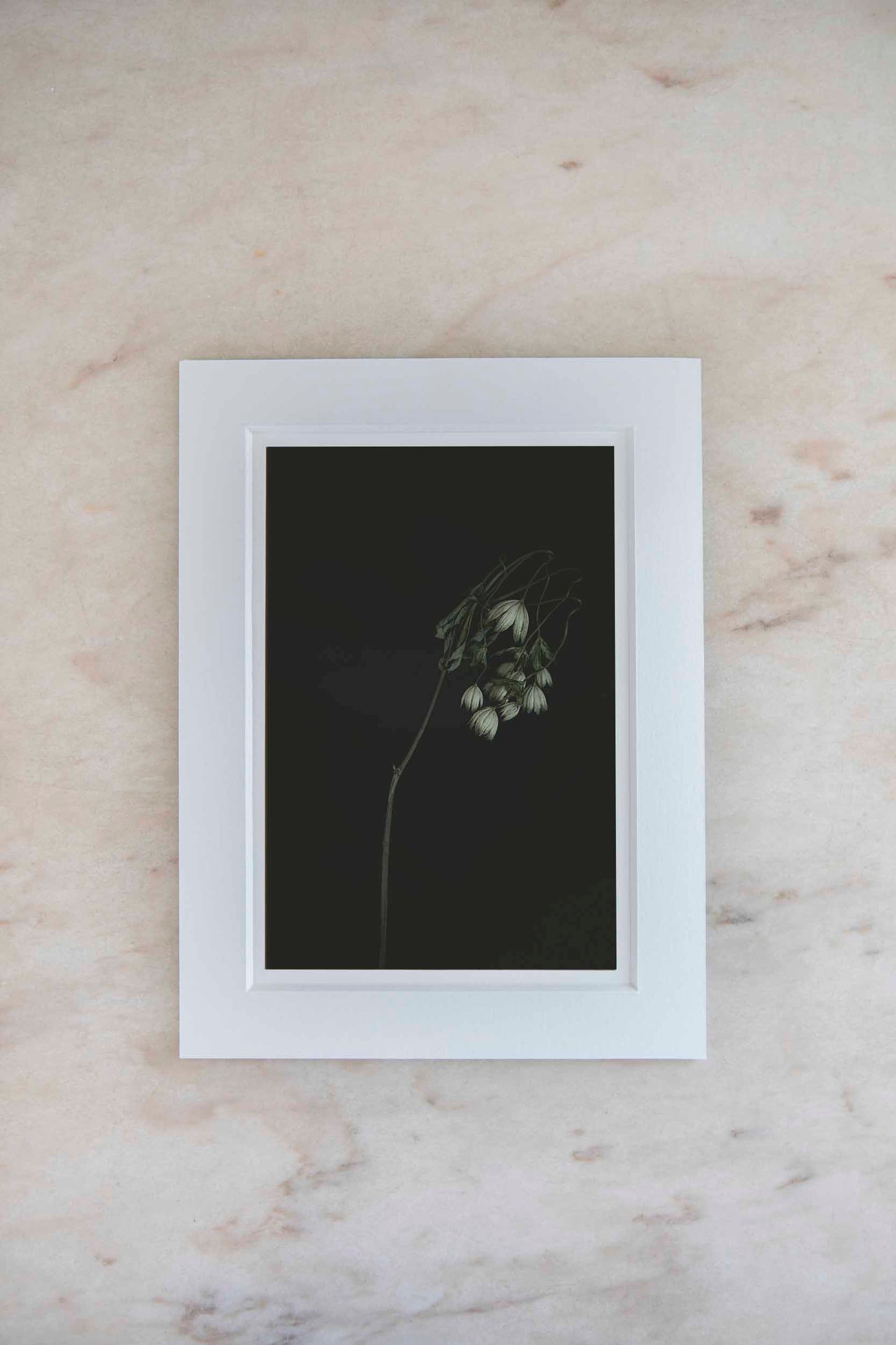 Konstfoto 18x24 cm "Enkelt tolkat"