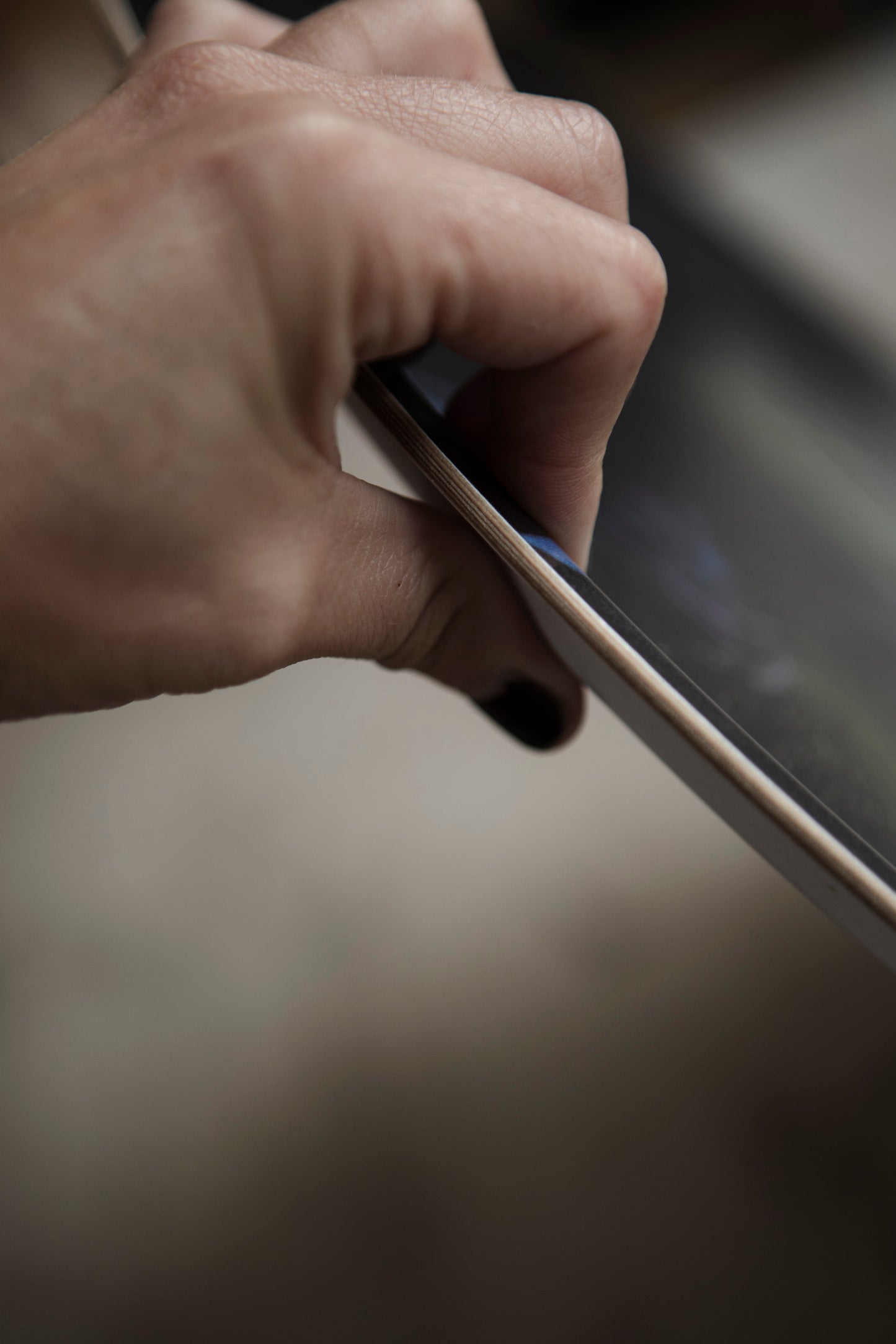 Bricka 33x21 cm "Gömd"