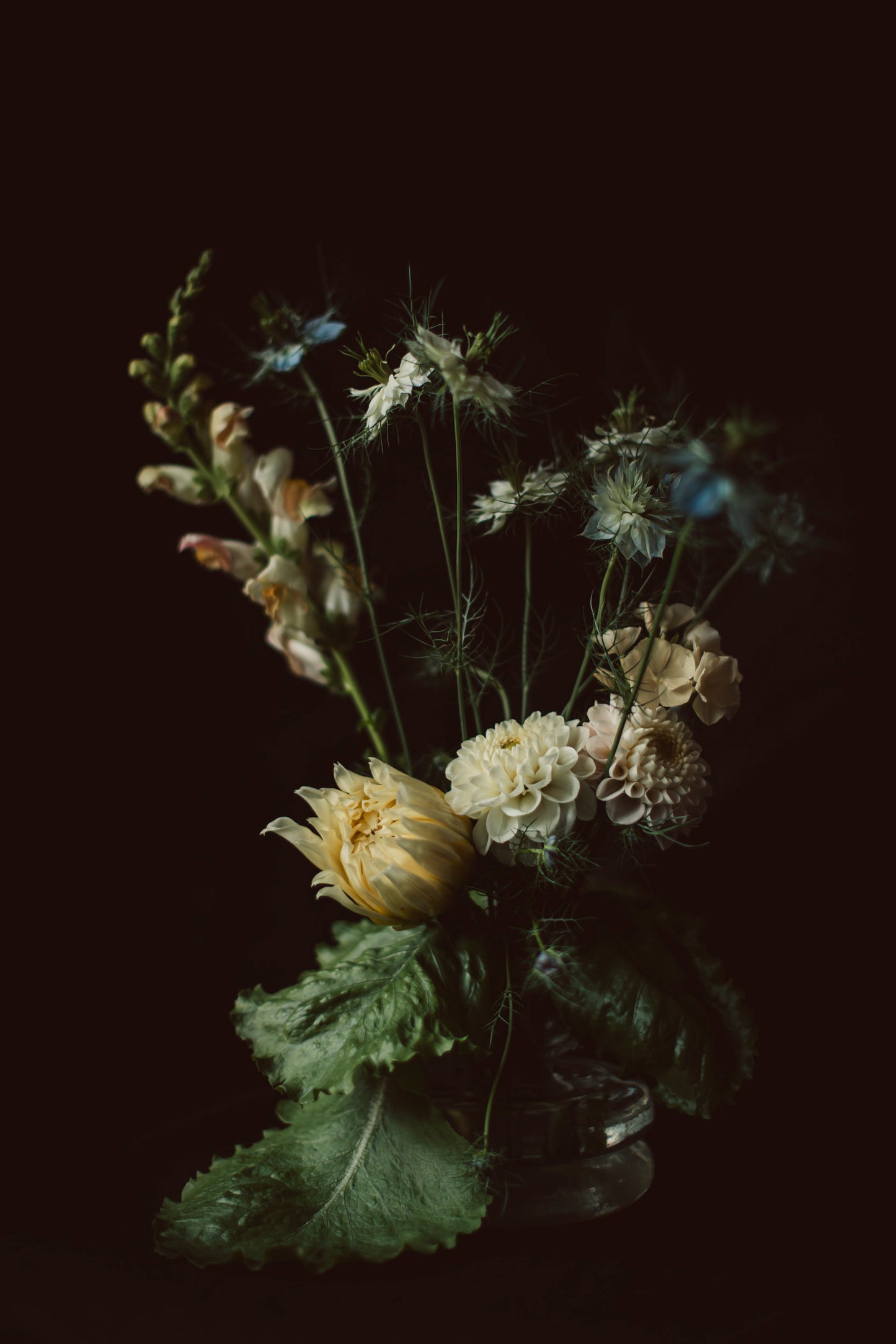 Konstfoto 18x24 cm "Växa"