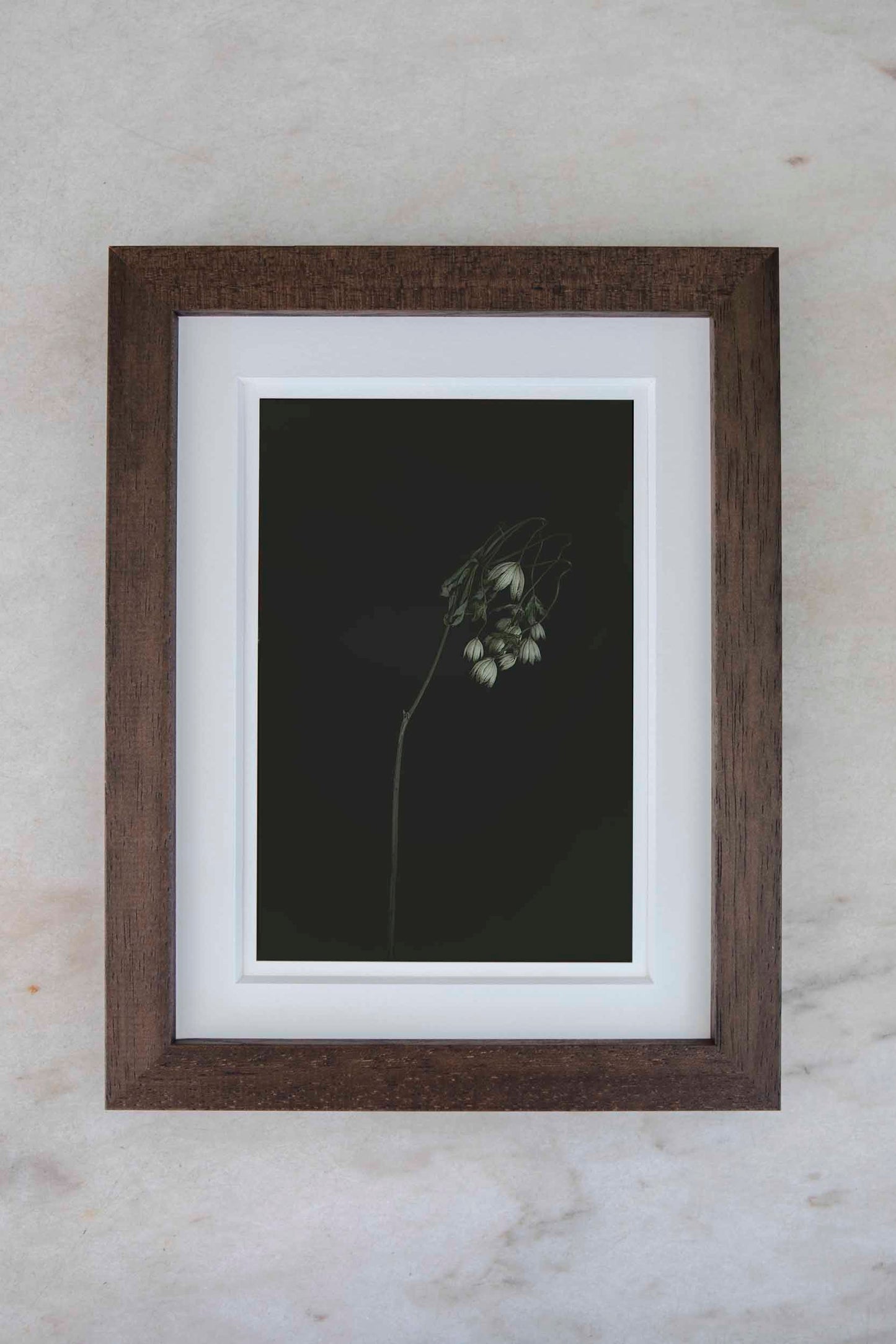 Konstfoto 18x24 cm "Enkelt tolkat"