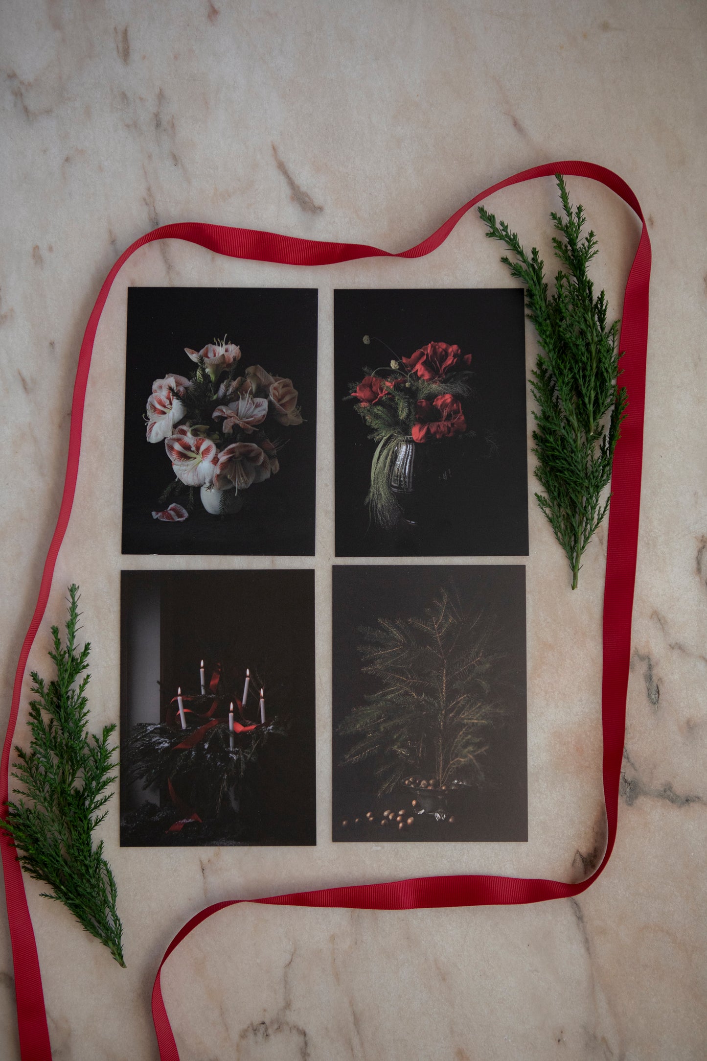 Kort "Jul amaryllis polka"