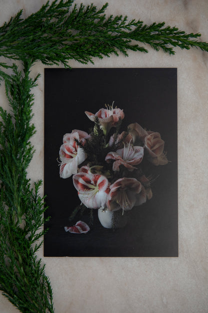 Kort "Jul amaryllis polka"