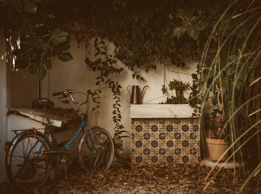 Liggande konstfoto "Barcelona Garden" no 3