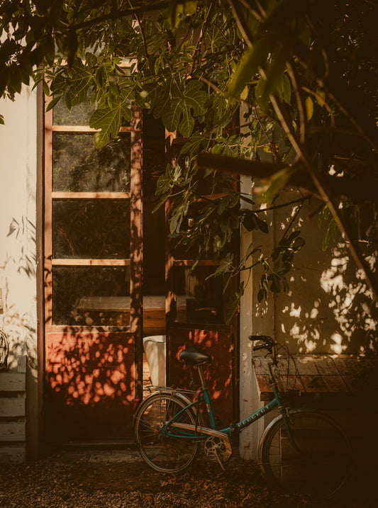 Konstfoto "Barcelona Garden" no 4