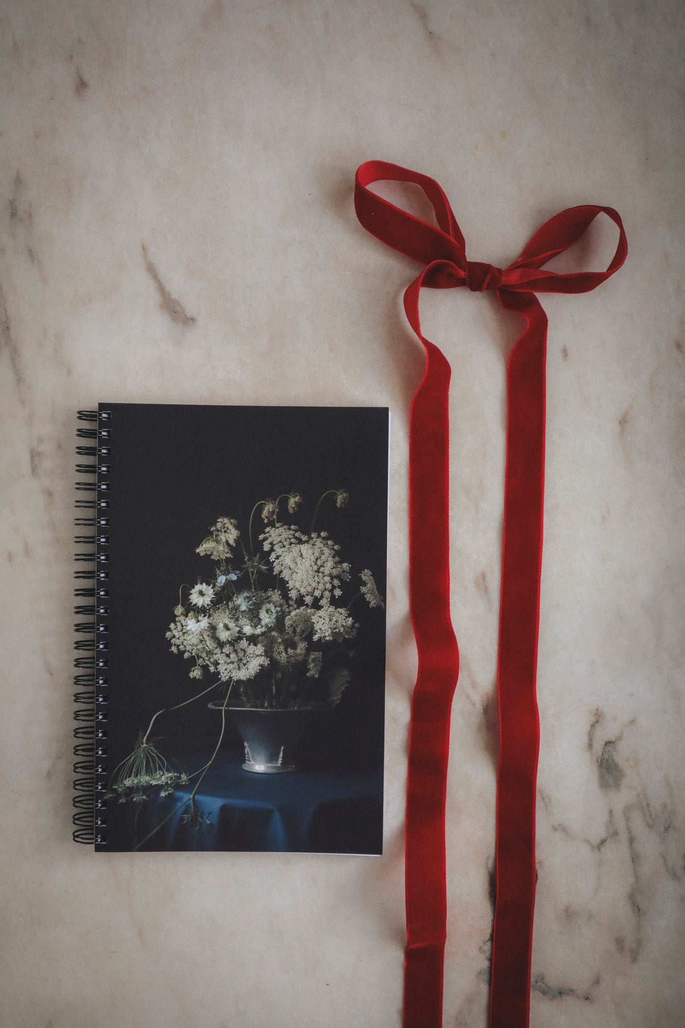 Anteckningsbok Drömmar