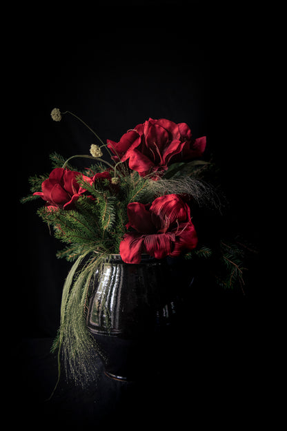 Kort "Jul Röd amaryllis"