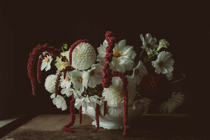 Fotokonst med blommor skapad av Karin J Studio. Motivet heter "Omfamna". 